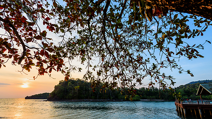 포토 JPG 해외이미지 나무 공원 바다 섬 여행 잎 오렌지 태국 자연 하늘 국립공원 그림자 풍경 사람없음 여름 파란색 컬러풀 햇빛 태양 여행객 일출 항구 일몰 새벽 만 방파제 포트 내추럴 강렬 안다만 해외포토 자연요소 식물 계절 공공시설 아시아 컬러 과일 교통시설 사람 노을 생태계 파일형식 이미지허브