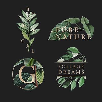 EPS 해외이미지 잎 일러스트 사람없음 초록색 세트 검은색 G 심볼 원형프레임 내추럴 보테니컬아트 해외일러스트 식물 알파벳 컬러 프레임 원형 파일형식 벡터 이미지허브