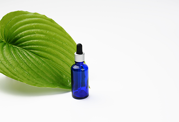 포토 JPG 해외이미지 잎 실내 사람없음 화장품 흰배경 공병 앰플 목업 카피스페이스 해외포토 식물 백그라운드 내부 뷰티 공백 흰색 병_담는 파일형식 이미지허브