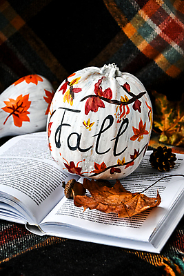 포토 JPG 해외이미지 낙엽 호박 사람없음 장식 책 스웨터 오브젝트 솔방울 해외포토 상의 잎 채소 파일형식 이미지허브