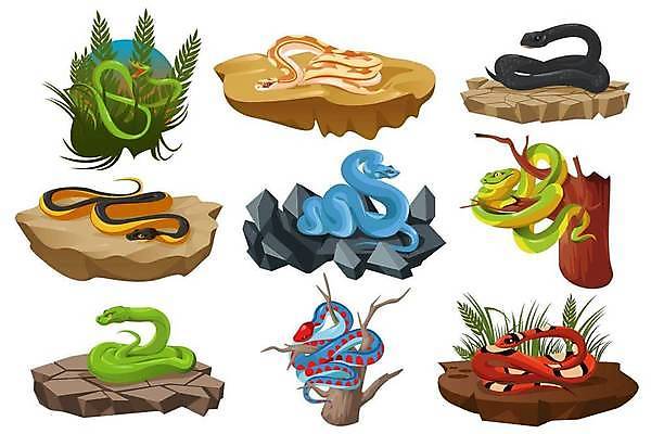 EPS 해외이미지 나무 동물 디자인 야생동물 바다 백그라운드 일러스트 파충류 자연 옥수수 빨간색 초록색 파란색 세트 머리 우유 바위 흰색 나뭇가지 뱀 숲 만화 심볼 피부 꼬리 캘리포니아 진홍색 고립 땅바닥 마스코트 이국적 해외일러스트 식물 컬러 유제품 곡류 바닥 신체부위 미국 돌_바위 생태계 파일형식 벡터 이미지허브