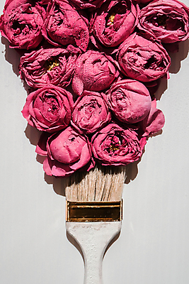 포토 JPG 해외이미지 꽃 컨셉 사람없음 흰배경 페인트붓 해외포토 식물 백그라운드 흰색 붓 파일형식 이미지허브