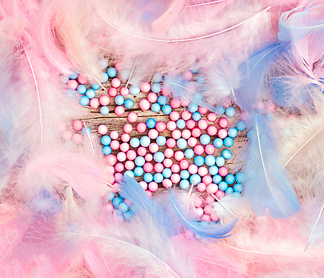 포토 JPG 해외이미지 동물 디자인 배너 종이 분홍색 백그라운드 컨셉 패턴 날개 자연 벽지 조류 추상 프레임 사랑 미술 소년 사람없음 장식 파란색 빛 컬러풀 뷰티 유행 보라색 수확 흰색 아기 신생아 우아함 깃털 묘사 질감 복고 부드러움 솜털 성별 내추럴 파스텔톤 카피스페이스 국경 해외포토 남자 감정 어린이 컬러 무늬 농업 문화예술 사람 공백 감각 생태계 파일형식 이미지허브