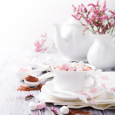 포토 JPG 해외이미지 꽃 사람없음 컵 숟가락 찻주전자 컵받침 흰배경 코코아 마시멜로우 카피스페이스 해외포토 식물 식기 음료 백그라운드 주전자 디저트 수저 공백 흰색 받침대 파일형식 이미지허브