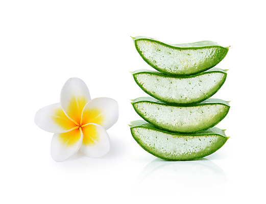 포토 JPG 해외이미지 식물 꽃 조각 백그라운드 컨셉 잎 신체 재료 부분 자연 선인장 건강 사람없음 치료 초록색 뷰티 약 스파 화장품 젖음 촉촉함 흰색 신선 가시 닫기 약국 허브 순수 날것 정사각형 슬라이스 흙더미 고립 돌봄 수분크림 알로에 해외포토 도형 컬러 의학 모션 흙 생태계 파일형식 더미 이미지허브