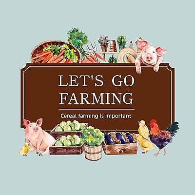 EPS 해외이미지 두마리 여러마리 일러스트 가지 오리 프레임 병아리 사람없음 농작물 농장 갈색 농사 당근 닭 돼지 양배추 프레임일러스트 해외일러스트 컬러 다수 2 농업 채소 포유류 조류 뿌리채소 파일형식 벡터 이미지허브