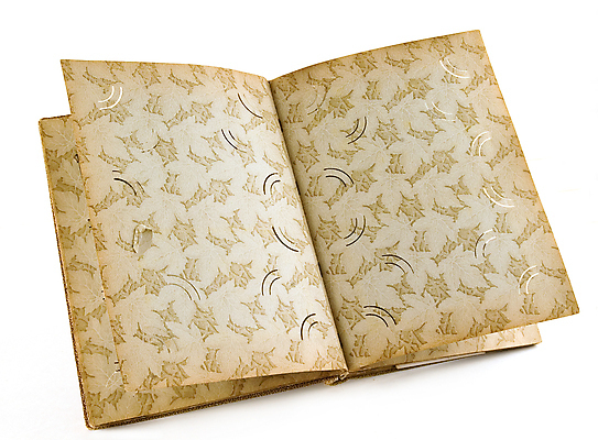 포토 JPG 해외이미지 디자인 종이 백그라운드 프레임 미술 사람없음 책 상자 공백 추위 수확 골동품 덮개 경계선 가장자리 미술관 앨범 자르기 그림 복고 캔버스 페이지 고립 옛날 국경 해외포토 선 농업 모션 문화예술 뚜껑 둘레 경계 파일형식 이미지허브