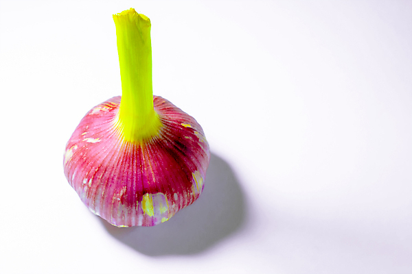 포토 JPG 해외이미지 1 음식 농업 채소 재료 부분 탁자 양파 건강 마늘 3 사람없음 약 우주 주방 흰색 조미료 바이러스 맛 정상 허브 향신료 오브젝트 유기농 매움 냄새 레시피 내추럴 거짓말 고립 면역력 핸드메이드 해외포토 식물 웰빙 산업 컬러 가구 컨셉 의학 향미료 파일형식 이미지허브