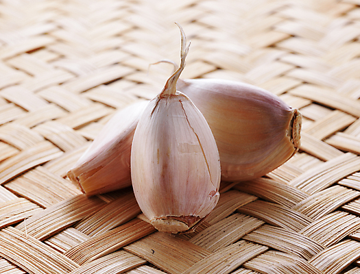 포토 JPG 해외이미지 식물 음식 백그라운드 잎 농업 채소 재료 전구 자연 건강 마늘 요리 사람없음 목재 가로 초록색 성장 흰색 신선 양념 그룹 선택 맛 먹기 향신료 오브젝트 유기농 날것 아로마 향 내추럴 숙성 채식주의자 해외포토 나무 웰빙 산업 컬러 컨셉 모션 생태계 채식 향미료 파일형식 이미지허브