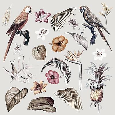 EPS 해외이미지 야생동물 일러스트 열대 사람없음 열대식물 파인애플 앵무새 열대꽃 열대잎 이국적 히비스커스 해외일러스트 식물 동물 꽃 잎 과일 조류 열대과일 파일형식 벡터 이미지허브