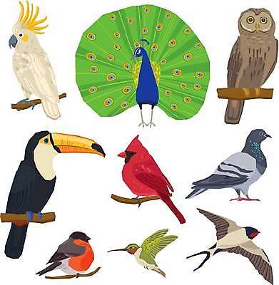 EPS 해외이미지 동물 야생동물 인터넷 날개 일러스트 자연 조류 모바일 동물원 미술 스마트폰 반려동물 컴퓨터 세트 픽토그램 평화 네트워크 그리기 플랫 공작 수집 심볼 깃털 사인 비둘기 앵무새 부엉이 북쪽 제비 고립 마케팅 물총새 블로그 소셜 해외일러스트 컨셉 모션 문화예술 전자제품 핸드폰 스마트기기 방향 생태계 파일형식 벡터 이미지허브