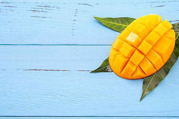 포토 JPG 해외이미지 스튜디오촬영 하늘색 나뭇잎 사람없음 노란색 망고 해외포토 컬러 잎 실내 파란색 열대과일 파일형식 이미지허브