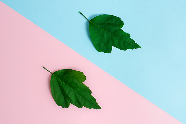 포토 JPG 해외이미지 디자인 종이 백그라운드 컨셉 스티커 2 장신구 표면 아이디어 사람없음 컵 컬러풀 연필 반사 쪽지 공책 블록 거울 비교 작업실 방향 큐브 오브젝트 질감 레이아웃 문서 정사각형 슛 위치 직사각형 설정 엘리먼트 플랫레이 해외포토 도형 식기 컬러 문구용품 학용품 필기구 플랫 파일형식 이미지허브