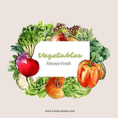 EPS 해외이미지 채소 일러스트 호박 양파 파프리카 사각프레임 프레임 사람없음 사각형 양상추 브로콜리 적환무 해외일러스트 도형 무 파일형식 벡터 이미지허브