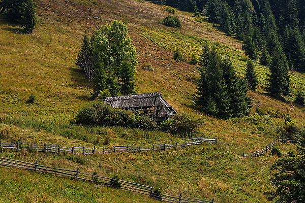 포토 JPG 해외이미지 나무 전통 외관 여행 백그라운드 밭 건축양식 자연 지붕 휴가 산 주택 풍경 초원 사람없음 야외 건물 목재 초록색 여름 뷰티 농장 마을 수확 골동품 시골 역사 숲 오두막 버리기 언덕 시골집 통나무 내추럴 수목 옛날 해외포토 식물 건축물 계절 건축 컬러 농업 재료 모션 생태계 파일형식 이미지허브