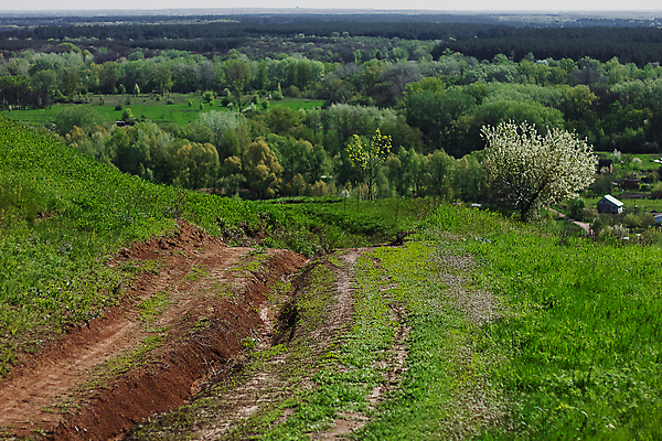 포토 JPG 해외이미지 나무 식물 계절 꽃 유럽 도로 백그라운드 밭 농업 자연 하늘 날씨 파노라마 사람없음 야외 초록색 컬러풀 농장 농경지 노란색 환경 봄 성장 벚꽃 시골 개화 숲 언덕 유채 장면 내추럴 밭일 생태학 카놀라 수평선 해외포토 교육 나라 산업 길 컬러 교통시설 촬영기법 생태계 파일형식 이미지허브