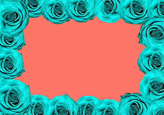 포토 JPG 해외이미지 디자인 배너 꽃잎 꽃 분홍색 백그라운드 컨셉 꽃무늬 패턴 추상 프레임 발렌타인데이 사랑 사람없음 장식 파란색 장미 유행 봄 낭만 벚꽃 신용카드 산호 심볼 질감 레이아웃 리빙 고립 해외포토 식물 계절 감정 컬러 무늬 데이이벤트 금융 자포동물 파일형식 이미지허브