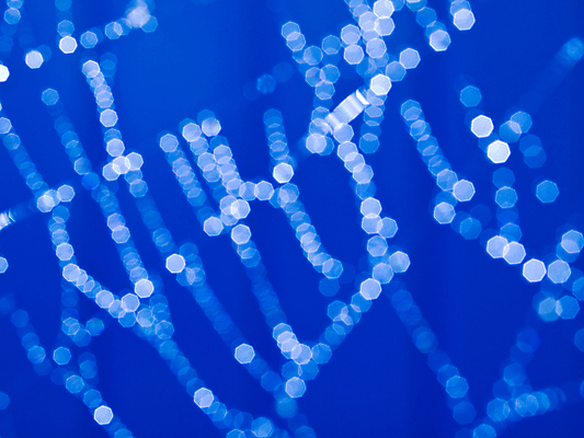 포토 JPG 해외이미지 디자인 줄 곤충 패턴 목걸이 자연 아침 전등 사람없음 물 파란색 빛 반사 웹 어둠 안개 물방울 잡기 원형 그물 네트워크 실 선택 소프트포커스 이슬 연결 위험 무서움 크리스탈 보석 실크 거미줄 질감 다이아몬드 거미 올가미 내추럴 고립 복잡 해외포토 주간 자연요소 도형 동물 감정 컬러 컨셉 무늬 인터넷 장신구 모션 날씨 조명 촬영기법 직물 광석 생태계 파일형식 이미지허브