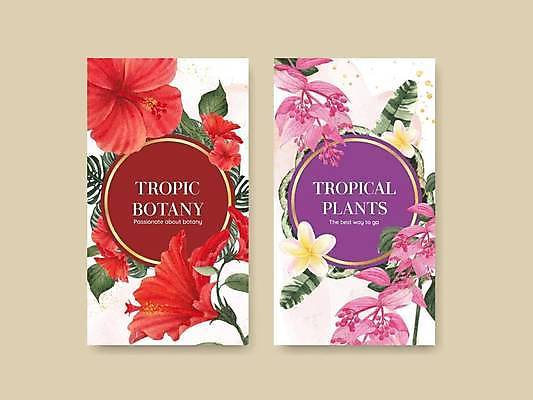 EPS 해외이미지 일러스트 사람없음 빨간색 보라색 열대꽃 열대잎 트로피컬아트 해외일러스트 꽃 컬러 잎 그림 파일형식 벡터 이미지허브