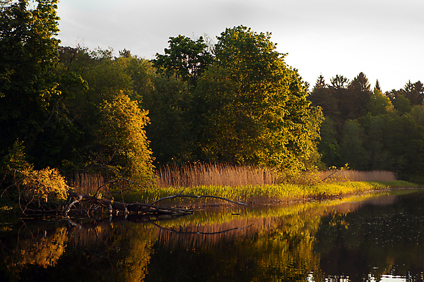 포토 JPG 해외이미지 나무 파도 백그라운드 오렌지 자연 하늘 추상 사람없음 야외 빨간색 물 파란색 빛 강 햇빛 태양 반사 노란색 일출 환경 맑음 황혼 일몰 새벽 거울 광선 황금 저녁 장면 공상 스카이라인 내추럴 수평선 해외포토 자연요소 식물 바다 컬러 무늬 과일 날씨 노을 야간 생태계 파일형식 이미지허브
