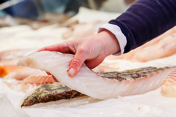 포토 JPG 해외이미지 직업 손 음식 바다 조각 백그라운드 재료 낚시 건강 어류 요리 사람없음 판매 식사 추위 신선 잡기 시장 맛 상인 해산물 유기농 꼬리 낚시꾼 소매 대서양 내추럴 고립 깊이 단백질 맛있는 해외포토 웰빙 컨셉 모션 레저 신체부위 수중동물 영양소 파일형식 이미지허브