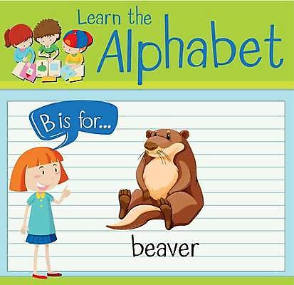 EPS 해외이미지 전신 동물 한마리 알파벳 영어 여자 남자 어린이 말풍선 일러스트 영어교육 서기 앉기 소년 여러명 상반신 B 단어공부 단어카드 비버 어린이만 해외일러스트 문자 1 교육 다수 모션 사람 학습 파일형식 벡터 단어장 이미지허브