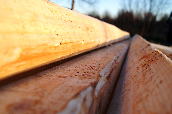 포토 JPG 해외이미지 나무 식물 산업 공장 자연 바닥 주택 사람없음 목재 경제 노란색 쌓기 환경 닫기 널 숲 큼 장작 자르기 목수 묘사 창고 목공예 수납 자원 잡동사니 내추럴 수목 전기톱 해외포토 직업 컬러 재료 공업 모션 건물 크기 공예 생태계 톱 파일형식 이미지허브