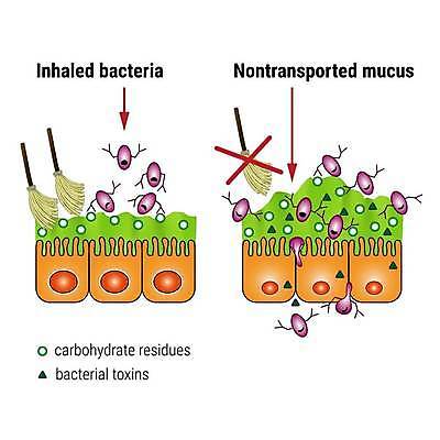EPS 해외이미지 일러스트 해부 세포 건강 사람 고통 추위 입 호흡기관 계획 질병 코 냄새 감염 알레르기 탄수화물 해외일러스트 감정 컨셉 의학 신체부위 장기_의학 파일형식 벡터 이미지허브