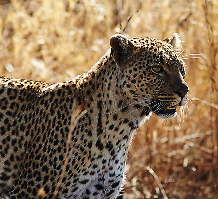 포토 JPG 해외이미지 여행 사람없음 여행객 탄자니아 해외포토 아프리카 사람 파일형식 이미지허브