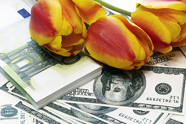 포토 JPG 해외이미지 꽃 백그라운드 지폐 돈 패턴 비즈니스 성공 휴가 선물 사람없음 빨간색 초록색 금융 쇼핑 노란색 판매 봄 저축 튤립 유로 축하 인사 시장 재산 구매 가격 무역 질감 투자 이익 수입 많음 플랫레이 해외포토 식물 계절 산업 컬러 컨셉 무늬 경제 예절 플랫 파일형식 이미지허브