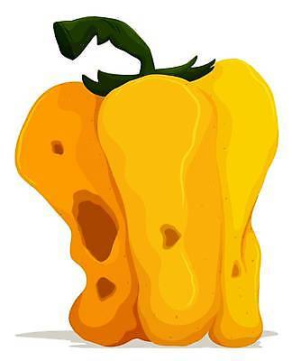 EPS 해외이미지 클립아트 길 음식 백그라운드 채소 일러스트 재료 고추 미술 그래픽 흰색 쓰레기 폐기물 자르기 버리기 오브젝트 그림 클립 낭비 고립 옛날 해로움 해외일러스트 컬러 컨셉 모션 문화예술 파일형식 벡터 이미지허브