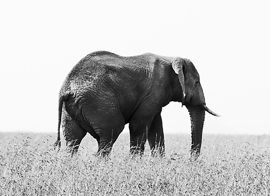 포토 JPG 해외이미지 여행 사람없음 여행객 해외포토 사람 파일형식 이미지허브
