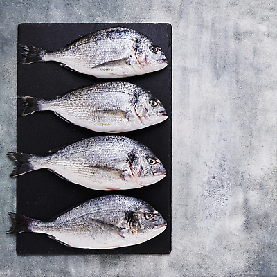 포토 JPG 해외이미지 음식 다이어트 탁자 어류 요리 사람없음 세일 식당 식사 저녁식사 4 시장 닫기 지중해 먹기 해산물 메뉴 날것 도미 성분 건강식 슈퍼마켓 단백질 생식 석판 카피스페이스 해외포토 바다 가구 모션 건강 숫자 상점 수중동물 공백 영양소 파일형식 이미지허브