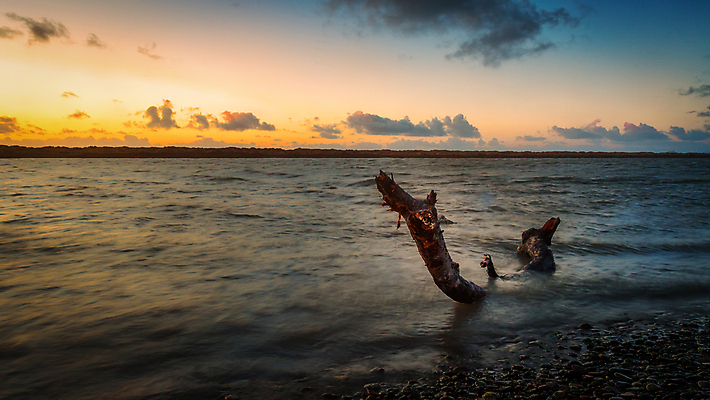 포토 JPG 해외이미지 나무 공원 여행 백그라운드 자연 하늘 사람없음 물 파란색 빛 강 태양 뷰티 반사 일출 일몰 봄 콜롬비아 숲 통나무 내추럴 요세미티국립공원 텍사스 해외포토 자연요소 식물 계절 공공시설 컬러 국립공원 노을 미국 남아메리카 생태계 캘리포니아 파일형식 이미지허브