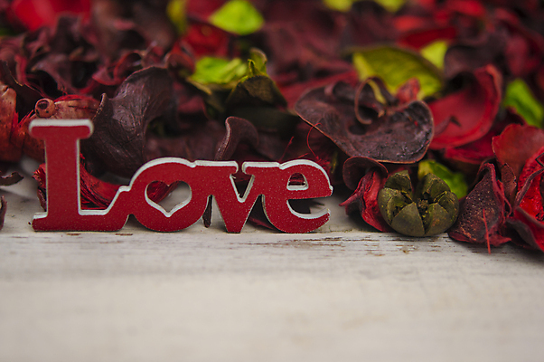 포토 JPG 해외이미지 식물 디자인 꽃잎 꽃 분홍색 결혼 백그라운드 잎 꽃무늬 패턴 자연 벽지 탁자 프레임 건조 선물 사랑 사람없음 목재 장식 빨간색 초록색 컬러풀 뷰티 장미 우주 낭만 수확 벚꽃 흰색 시골 차 다발 허브 심볼 질감 내추럴 옛날 스타일 카피스페이스 해외포토 나무 감정 음료 컬러 가구 컨셉 무늬 농업 재료 이벤트 공백 생태계 파일형식 이미지허브