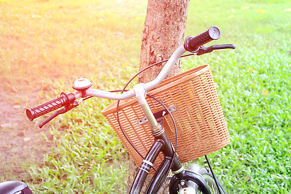 포토 JPG 해외이미지 주간 나무 공원 행복 여행 백그라운드 밭 놀이 휴가 건강 그림자 들기 풍경 사람없음 초록색 장난감 바구니 평화 자전거 침묵 기쁨 수확 게임 전원 시간 도움 바퀴 승차 작음 언덕 순환 주말 옛날 페달 해외포토 자연요소 식물 공공시설 감정 컬러 컨셉 농업 모션 바이크 소리 전기에너지 크기 파일형식 이미지허브