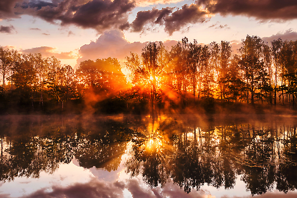 포토 JPG 해외이미지 나무 자연 하늘 사람없음 야외 강 햇빛 태양 일몰 해외포토 자연요소 식물 노을 생태계 파일형식 이미지허브