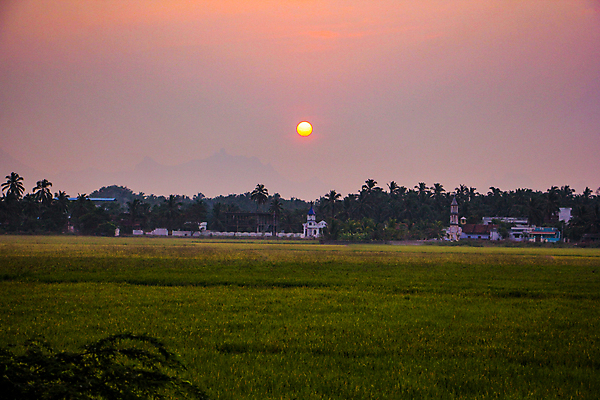 포토 JPG 해외이미지 밭 자연 하늘 아침 파노라마 사람없음 야외 태양 일출 맑음 해외포토 주간 자연요소 농업 날씨 촬영기법 노을 생태계 파일형식 이미지허브