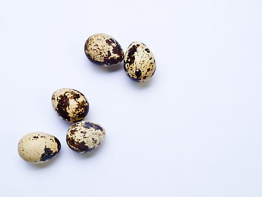 포토 JPG 해외이미지 모양 음식 백그라운드 곡선 조류 새로움 건강 사람없음 갈색 껍질 흰색 원형 그룹 중앙 아침식사 작음 먹기 오브젝트 질감 날것 치수 노른자 고립 단백질 해외포토 도형 동물 선 컬러 컨셉 모션 계란 식사 크기 영양소 파일형식 이미지허브