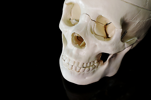 포토 JPG 해외이미지 백그라운드 뼈 사람없음 학습 검은색 할로윈 의사 흰색 입 구멍 가르침 균열 콘센트 치아 전기에너지 뇌 코 귀 물리치료 방법 연골 해골모형 해외포토 교육 컬러 모션 신체부위 치료 모형 에너지 의료진 소화기관 파일형식 이미지허브