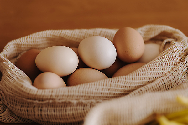 포토 JPG 해외이미지 라이프스타일 잡화 음식 백그라운드 컨셉 인터넷 다이어트 채소 가방 과일 자연 탁자 주택 실내 파슬리 건강 옥수수 요리 사람없음 초록색 쇼핑 상점 주방 저녁식사 재활용 타이핑 신선 면 시장 맛 먹기 준비 에코 유기농 생태계 패키지 온라인 낭비 채식주의자 비건 해외포토 웰빙 컬러 가구 모션 곡류 내부 건물 생활 환경 식사 친환경 채식 파일형식 이미지허브