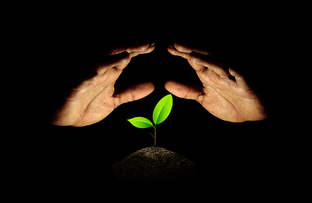 포토 JPG 해외이미지 나무 식물 손 지구 백그라운드 컨셉 잎 농업 손가락 자연 새로움 아이디어 씨앗 안전 사람 사람없음 초록색 새싹 환경 검은색 흙 성장 잡기 수비 보호 작음 원예 보안 먼지 돌봄 땅바닥 모종 묘목 생태학 취급주의 출석 해외포토 교육 산업 컬러 모션 바닥 경고 취미 신체부위 크기 생태계 파일형식 이미지허브