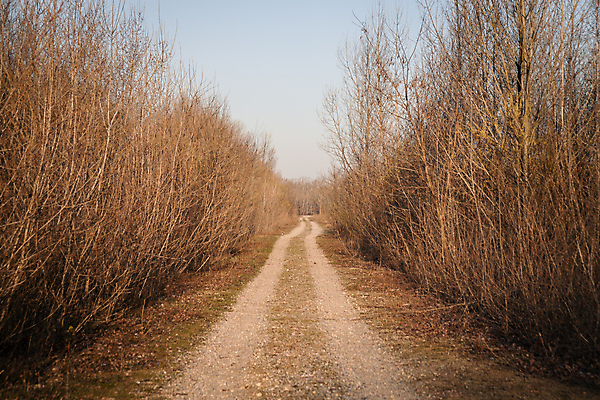 포토 JPG 해외이미지 계절 도로 길 선 여행 백그라운드 컨셉 밭 교통시설 자연 하늘 거리 사람없음 야외 초록색 파란색 빛 운전 자유 시골 오픈 숲 땅 방향 장면 루트 방법 직진 수평선 해외포토 컬러 교통 농업 모션 시설 생태계 파일형식 이미지허브