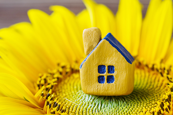 포토 JPG 해외이미지 식물 모델 디자인 꽃 백그라운드 컨셉 비즈니스 건축양식 가족 표면 지붕 해바라기 아파트 주택 사람없음 건물 목재 파란색 빛 장난감 노란색 세일 꿈 미니어처 재산 선택 작음 심볼 오브젝트 솜털 대출 렌탈 진짜 해외포토 나무 건축물 건축 컬러 재료 관계 금융 모형 크기 파일형식 이미지허브