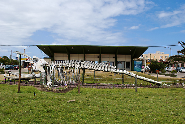 포토 JPG 해외이미지 구름 파충류 자동차 하늘 거리 뼈 주택 골격 풍경 사람없음 장식 도시 남아메리카 우루과이 해외포토 자연요소 동물 육상교통 아메리카 건물 파일형식 이미지허브