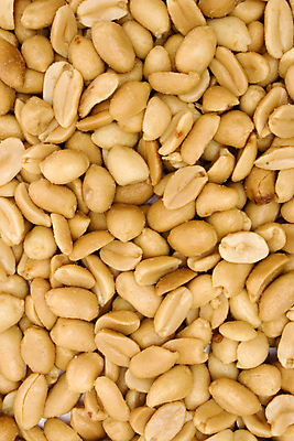 포토 JPG 해외이미지 음식 백그라운드 패턴 패스트푸드 씨앗 사람없음 갈색 쌓기 견과류 맛 폐기물 굽기 먹기 묘사 유기농 질감 땅콩 칼로리 흙더미 식용 영양분 절임 많음 맛있는 해외포토 식물 웰빙 컬러 컨셉 무늬 모션 흙 인스턴트 쓰레기 구이 파일형식 더미 이미지허브