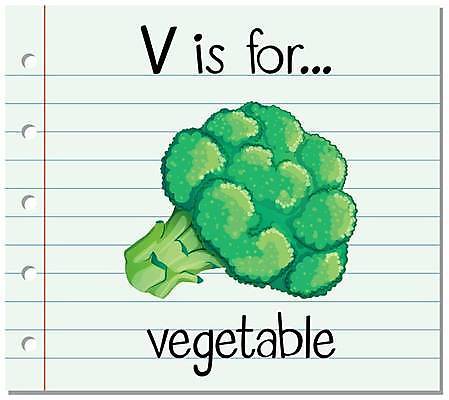 EPS 해외이미지 알파벳 영어 일러스트 영어교육 사람없음 단어 브로콜리 V 단어카드 해외일러스트 문자 교육 채소 파일형식 벡터 단어장 이미지허브