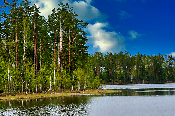 포토 JPG 해외이미지 나무 구름 계절 공원 호수 여행 백그라운드 자연 하늘 아침 풍경 사람없음 야외 목재 초록색 물 여름 파란색 강 컬러풀 햇빛 뷰티 반사 환경 침묵 연못 소나무 정상 숲 장면 내추럴 전국 해외포토 주간 자연요소 식물 공공시설 컬러 재료 태양 소리 생태계 파일형식 이미지허브
