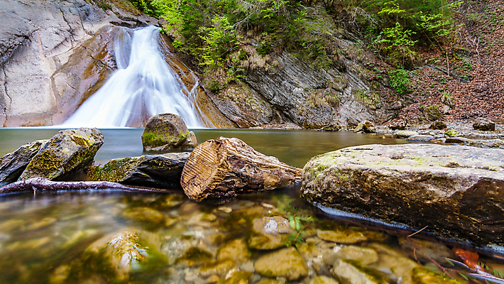 포토 JPG 해외이미지 나무 응시 공원 바다 여행 자연 산 파노라마 이끼 사람없음 야외 초록색 물 여름 파란색 골짜기 봄 폭포 촉촉함 흐름 자유 바위 시골 개울 숲 상쾌 알프스 내추럴 무료 바이에른 해외포토 자연요소 식물 시선 계절 공공시설 감정 유럽 컬러 컨셉 독일 촬영기법 강 젖음 돌_바위 생태계 파일형식 이미지허브