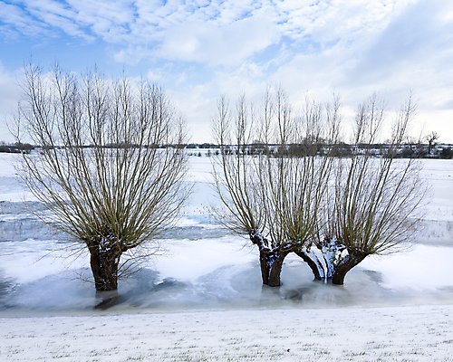 포토 JPG 해외이미지 나무 계절 유럽 백그라운드 겨울 밭 자연 하늘 풍경 사람없음 야외 물 파란색 강 교회 평화 맑음 냉동 얼음 추위 흰색 우아함 시원함 버드나무 순수 네덜란드 그림 서리 운하 내추럴 해외포토 자연요소 식물 나라 컬러 컨셉 농업 종교건축 날씨 건물 생태계 파일형식 이미지허브